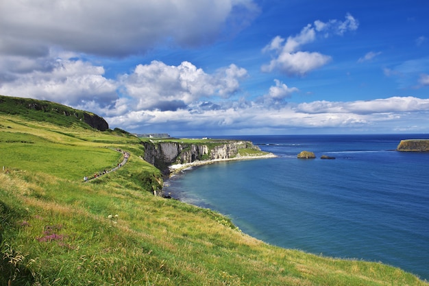 Carrick a Rede Rope Bridge, Irlanda del Norte, Reino Unido