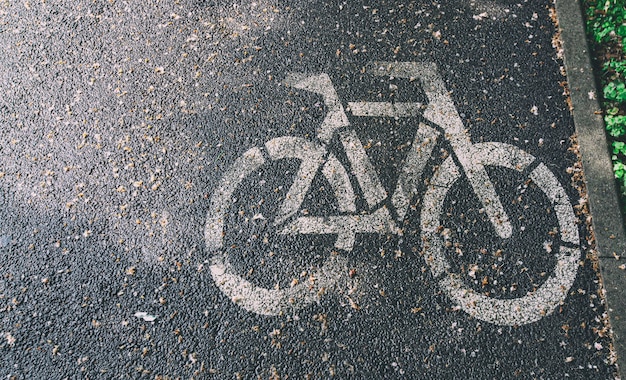 El carril bici entre los árboles después de la lluvia