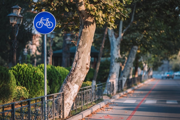 Carril bici en la calle