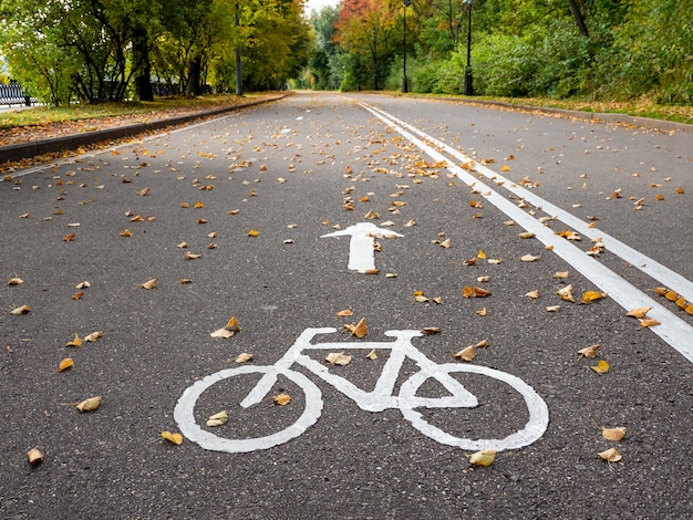 Carril bici en otoño