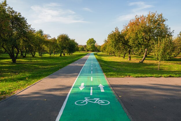 Carril bici en el parque de verano. Marcado sobre el asfalto. Moscú, Kolomenskoye.