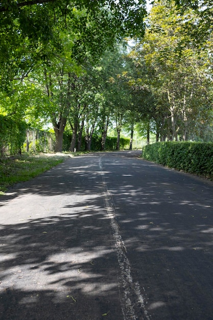 Carril bici en el parque