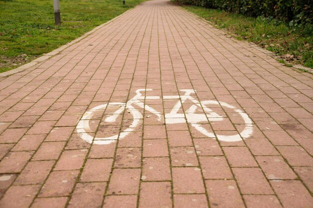 Carril bici en el parque