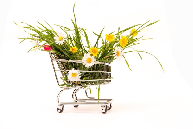 Carrinho com grama e flores Conceito de compras de primavera