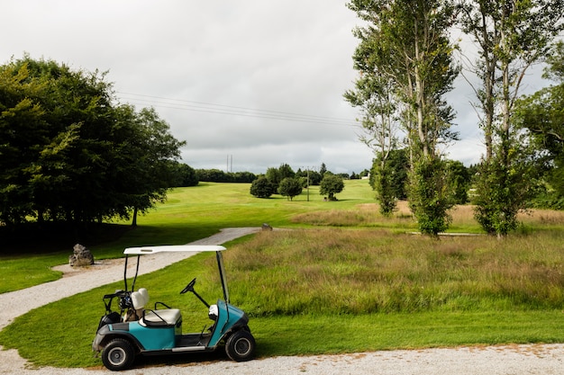 Carrinho de golfe no campo de golfe