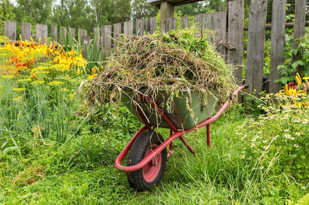 Carrinho de jardim na horta cheia de grama cortada. Limpeza de ervas daninhas no jardim.