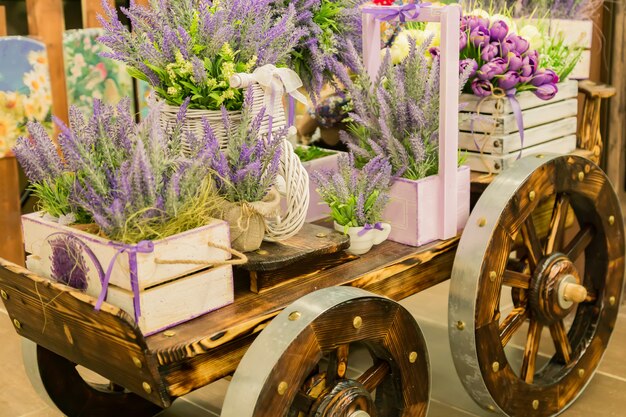 Carrinho de mão com as caixas de madeira cheias de flores de florescência da alfazema. elementos decorativos.