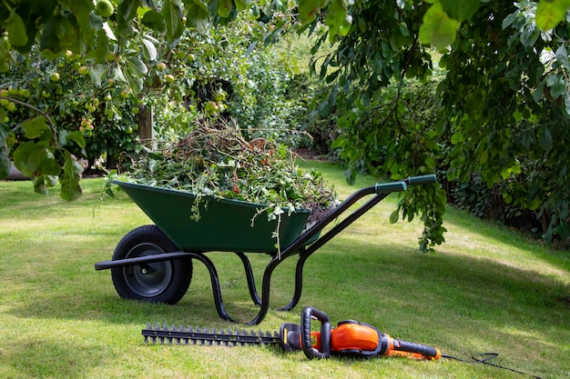 carrinho de mão de jardinagem