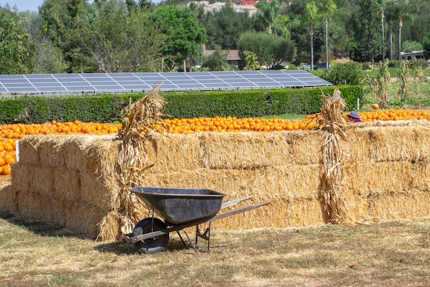 carrinho de mão na frente de uma pilha ou fardo de feno em uma fazenda