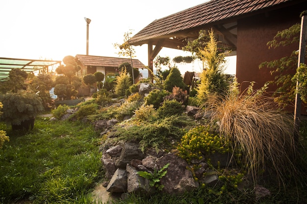 Carrinho de mão perto de várias plantas perenes em uma loja de jardinagem