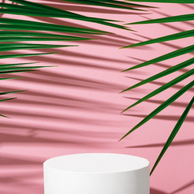 Foto carrinho de publicidade de produtos cosméticos. exposição de pódio branco com formas geométricas em fundo rosa com folhas de palmeira e sombras. pedestal vazio para exibir a embalagem do produto. brincar.