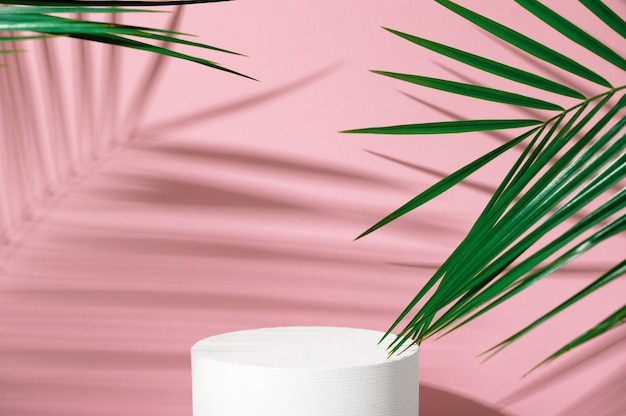 Carrinho de publicidade de produtos cosméticos. Exposição de pódio branco com formas geométricas em fundo rosa com folhas de palmeira e sombras. Pedestal vazio para exibir a embalagem do produto. Brincar.