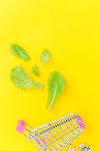 Carrinho de supermercado pequeno para compras com folhas de alface verdes isoladas em amarelo colorido moderno