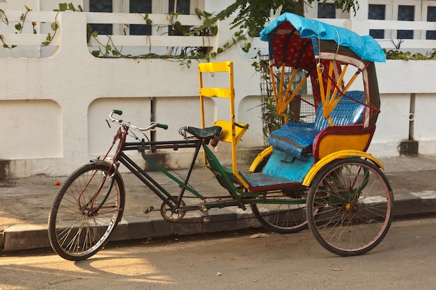 Carrito de bicicleta