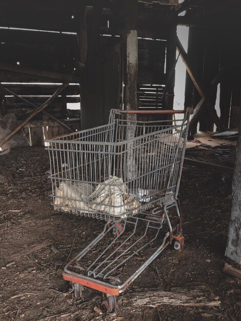 Foto carrito de compras abandonado en un contenedor