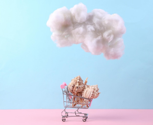 Carrito de compras con concha flotante nube esponjosa sobre fondo azul pastel rosa Arte conceptual Idea minimalista