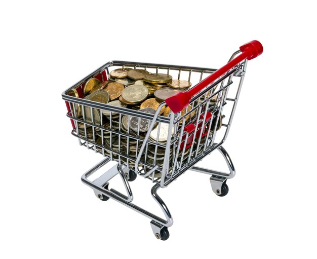 Carrito de compras con dinero