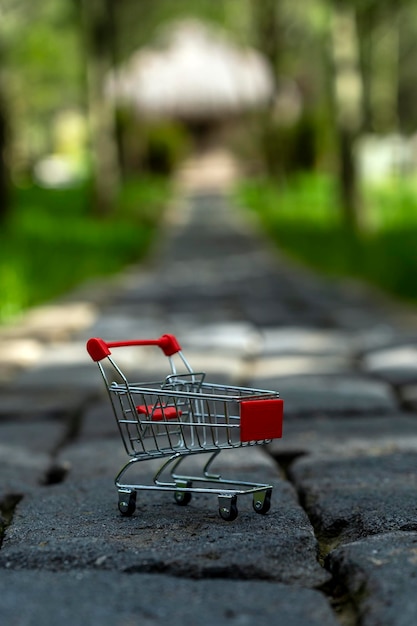 Foto carrito de compras con fondo de naturaleza desenfocado