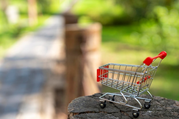 Foto carrito de compras con fondo de naturaleza desenfocado