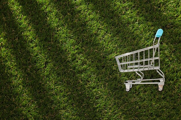 Un carrito de compras de metal en el césped