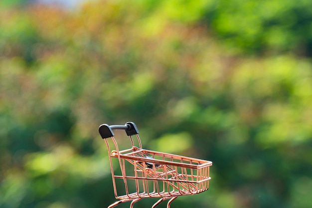 Carrito de compras en la naturaleza