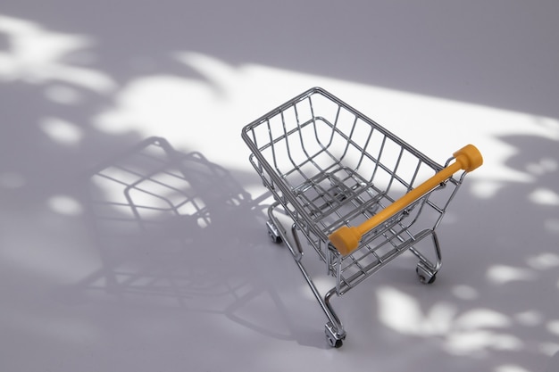 Carrito de compras pequeño vacío con sombras duras de la naturaleza