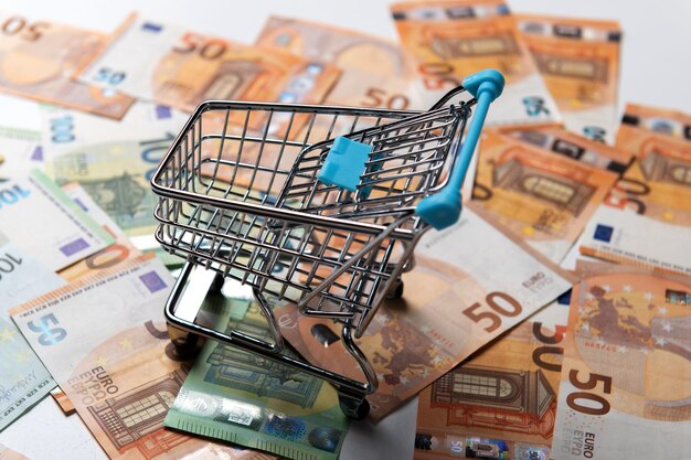 El carrito de compras vacío sobre la superficie cubierta por los múltiples billetes de euro