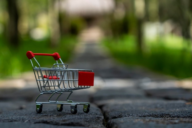 Foto carrito de compras con fondo de naturaleza desenfocado