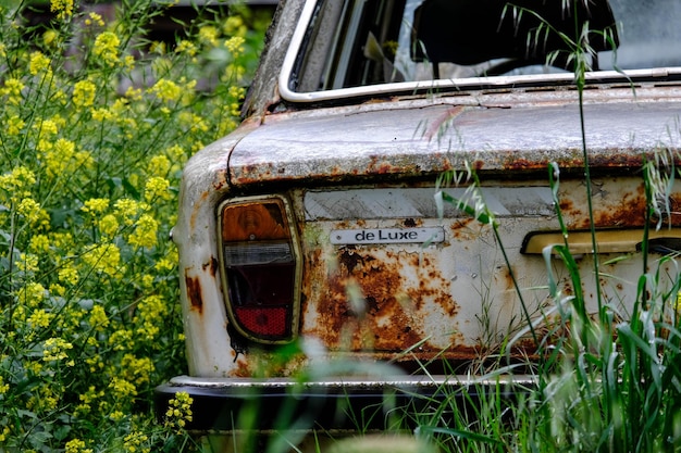 Carro abandonado no campo.