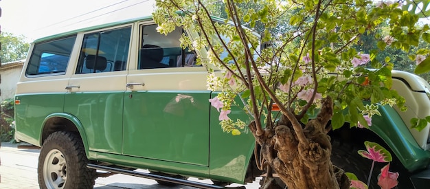 Carro antigo com pintura verde e branca tirada de perto