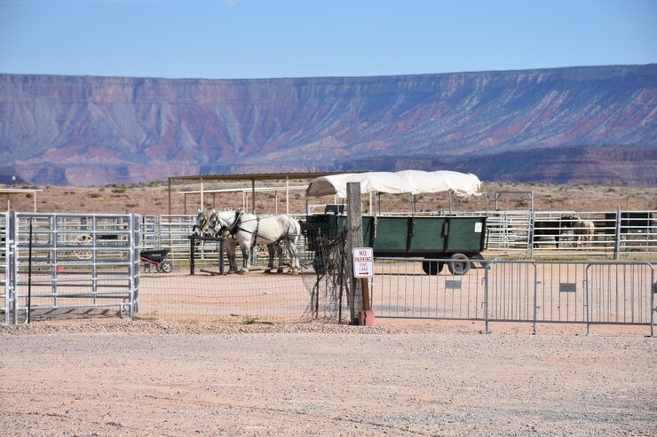 Foto carro de caballo en el campo contra el cielo