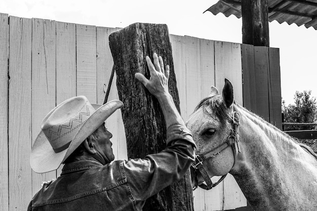 Foto el carro de caballos en el rancho.