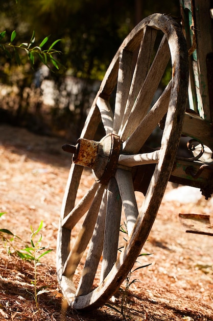 Foto carro de caballos viejo del carro del caballo del vintage para la agricultura