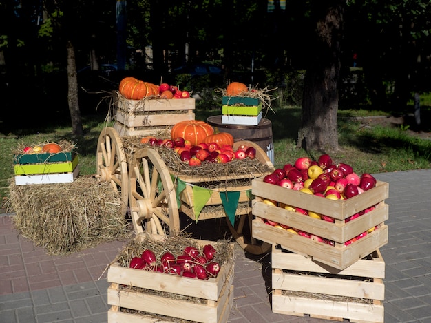 Carro con cajas de frutas y verduras en la feria agrícola.