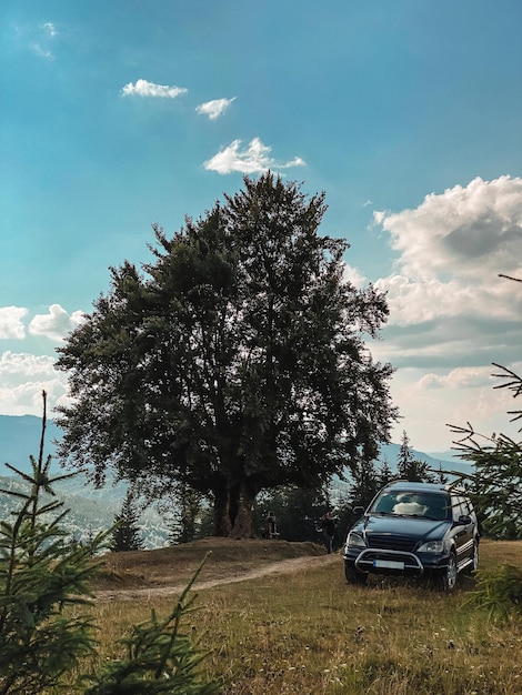 Carro cinza perto de uma grande faia velha nas montanhas ao pôr do sol