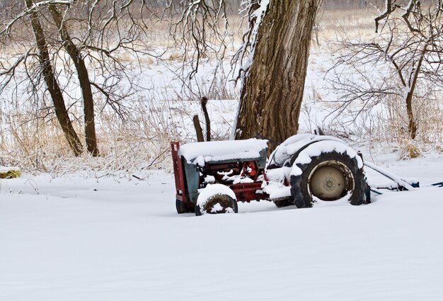 Carro coberto de neve no campo