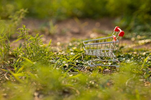 Carro de compras sobre la hierba verde con la luz del atardecer. Concepto ambiental de compras.