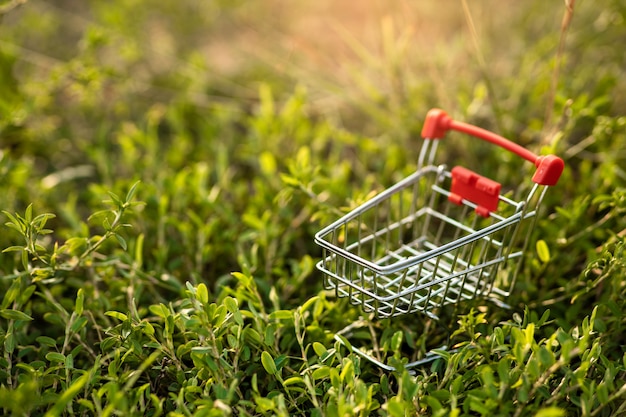 Carro de compras sobre la hierba verde con la luz del atardecer. Concepto ambiental de compras.