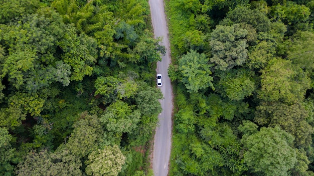 Carro de vista superior aérea dirigindo pela floresta na estrada do país, vista do zangão