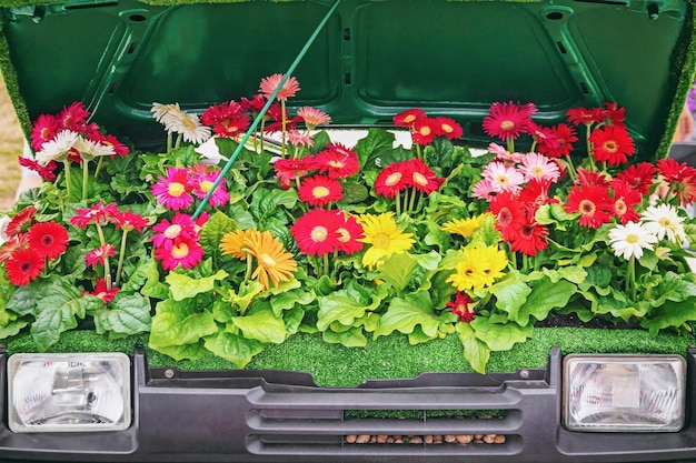 Carro ecológico com flores em vez de motor