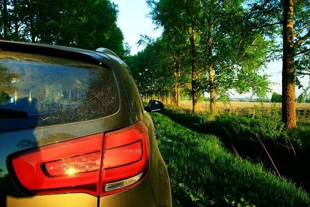 carro em vista de verão por trás na estrada