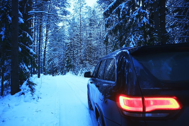 carro, inverno, floresta, viagem, fundo, dezembro, natureza