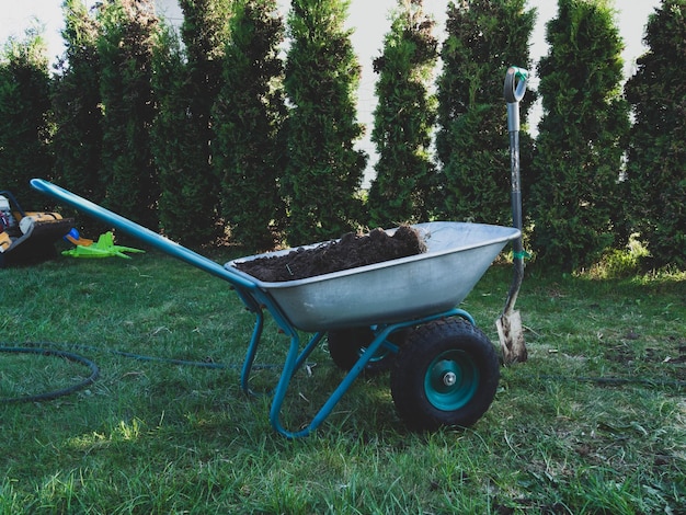 Carro de jardín para plantar plantas en el jardín con pala de árbol verde