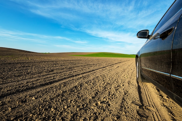 Carro, ligado, um, estrada sujeira, em, um, campo girassóis, e, trigo, com, luz solar