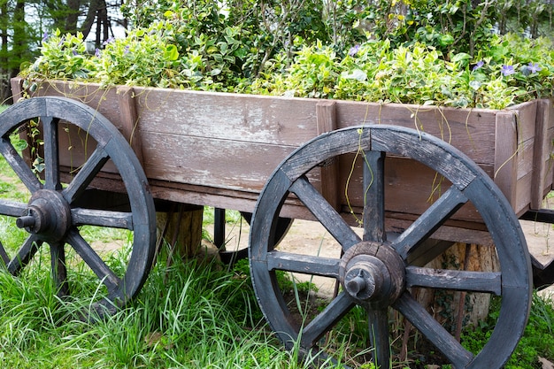 Carro de madera antiguo con flores en el jardín.