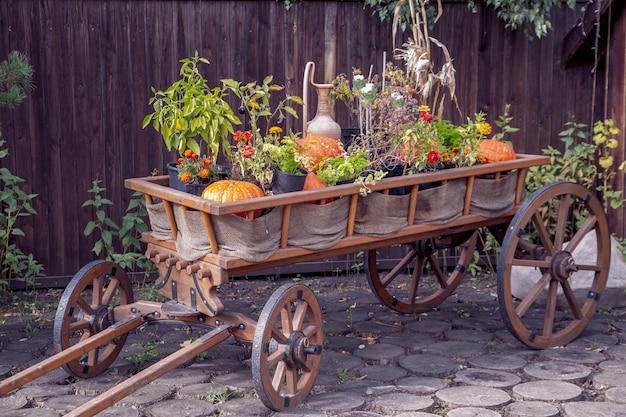 Carro de madera con calabazas y otras verduras Decoración de Acción de Gracias