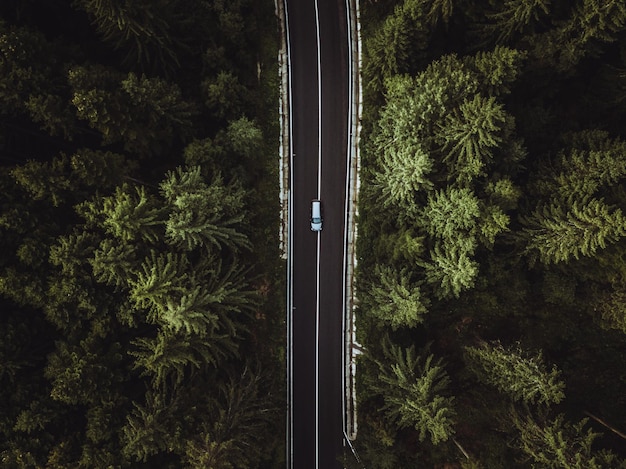 Carro na estrada em meio a árvores