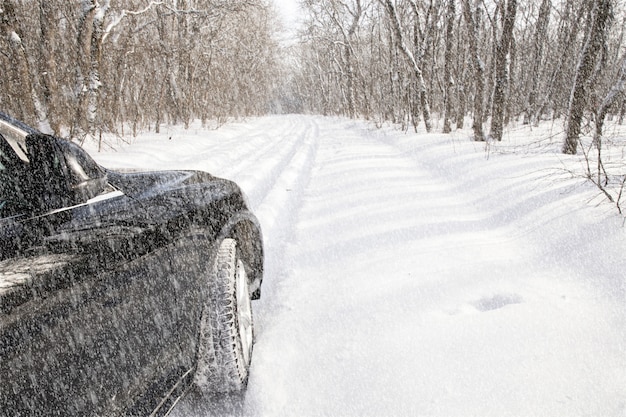 Carro na floresta de neve