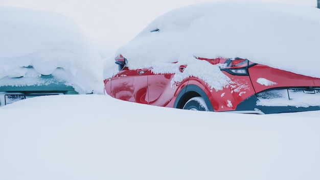 carro nevado