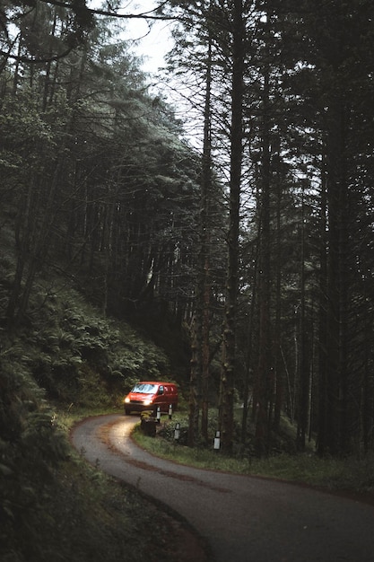 Carro passando pela floresta temperada de Mull